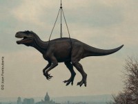 Visita guiada a la exposición de Joan Fontcuberta en Naves de Gamazo